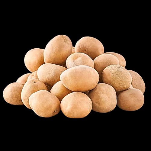 Baby Potato