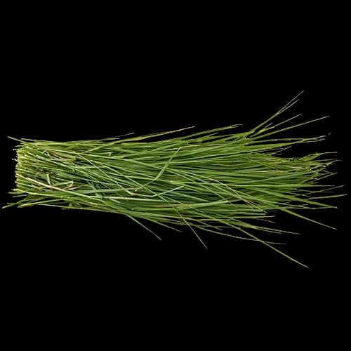 Durva Grass