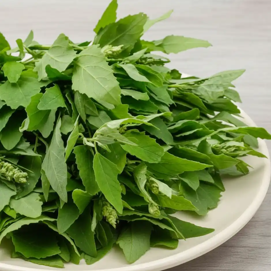Chenopodium Leaves (Bathua Saag)