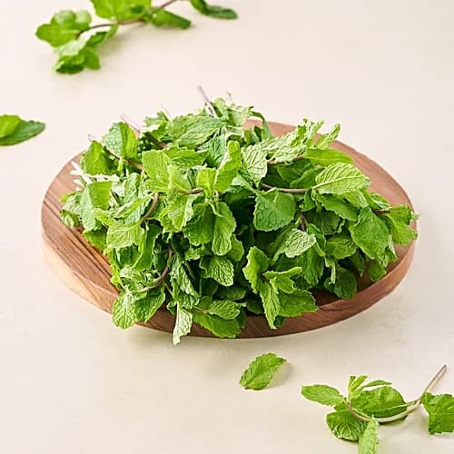 Organically Grown Mint Leaves