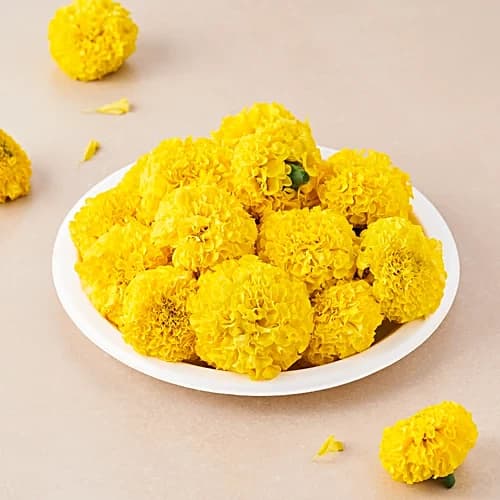 Marigold Yellow Flower